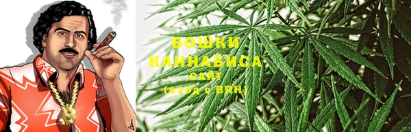 винт Белокуриха