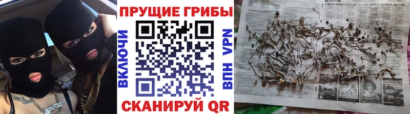 Галлюциногенные грибы GOLDEN TEACHER  Дигора 