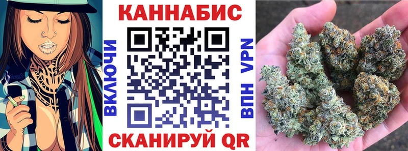 Конопля сатива  Дигора 